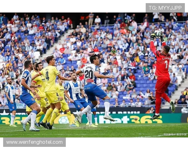 [法甲]联赛十七轮不败 大巴黎继续领跑.